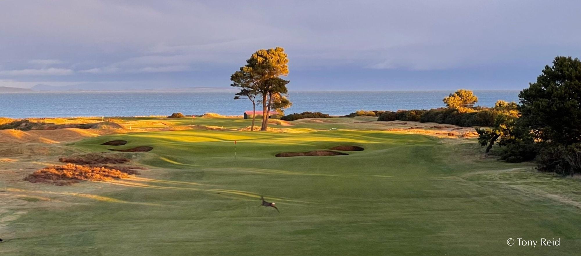 Campo de Golf The Clubhouse