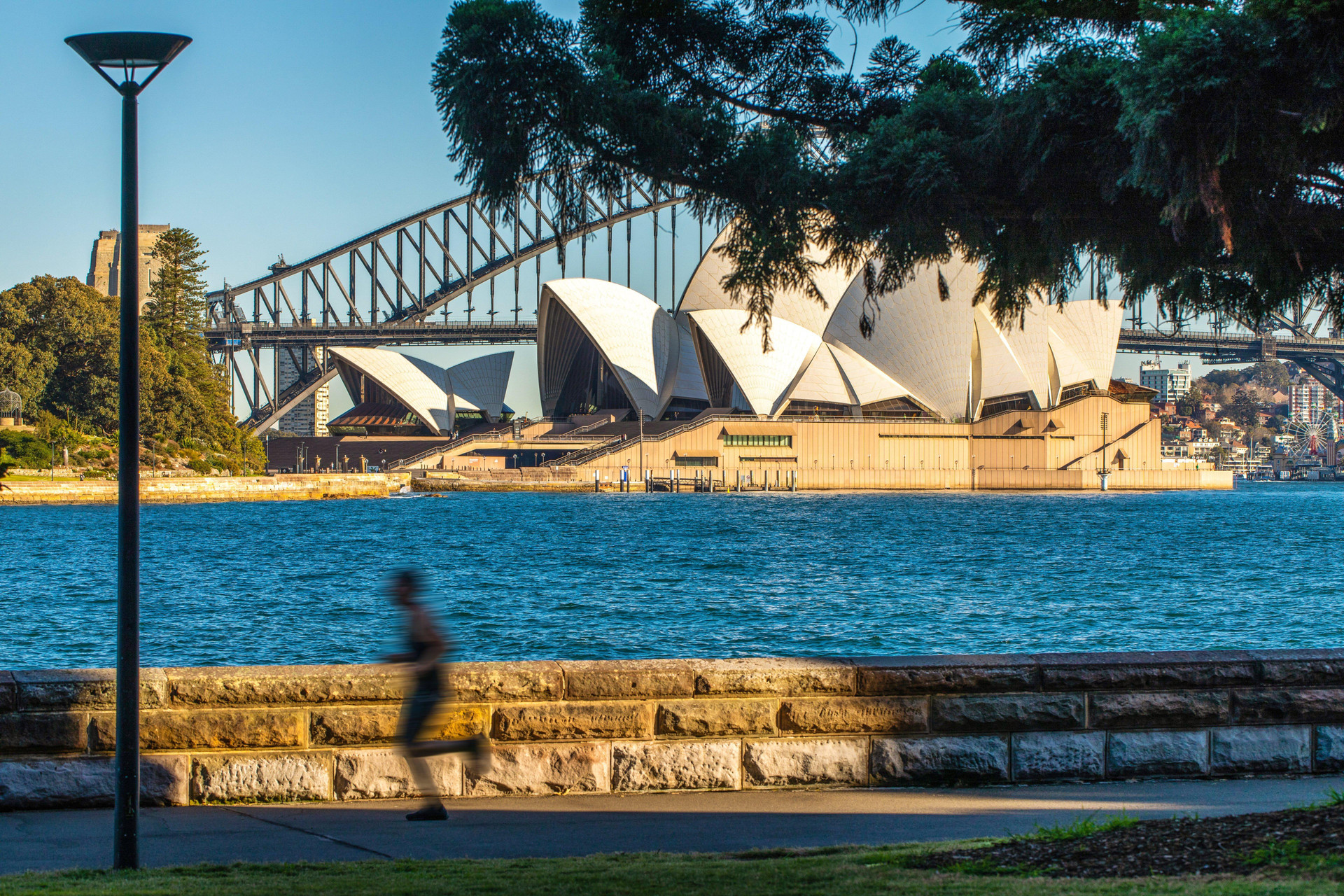 Vista Exterior Holiday Inn Sydney Potts Point by IHG