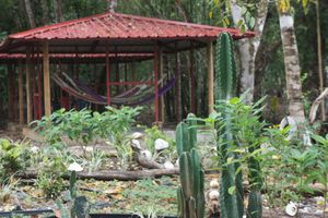 Alojamiento - Cebaco Sunrise Lodge