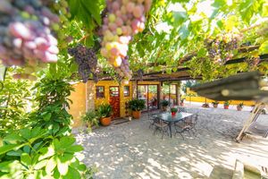 Alojamiento - Hotel Rural el Molino de Felipe