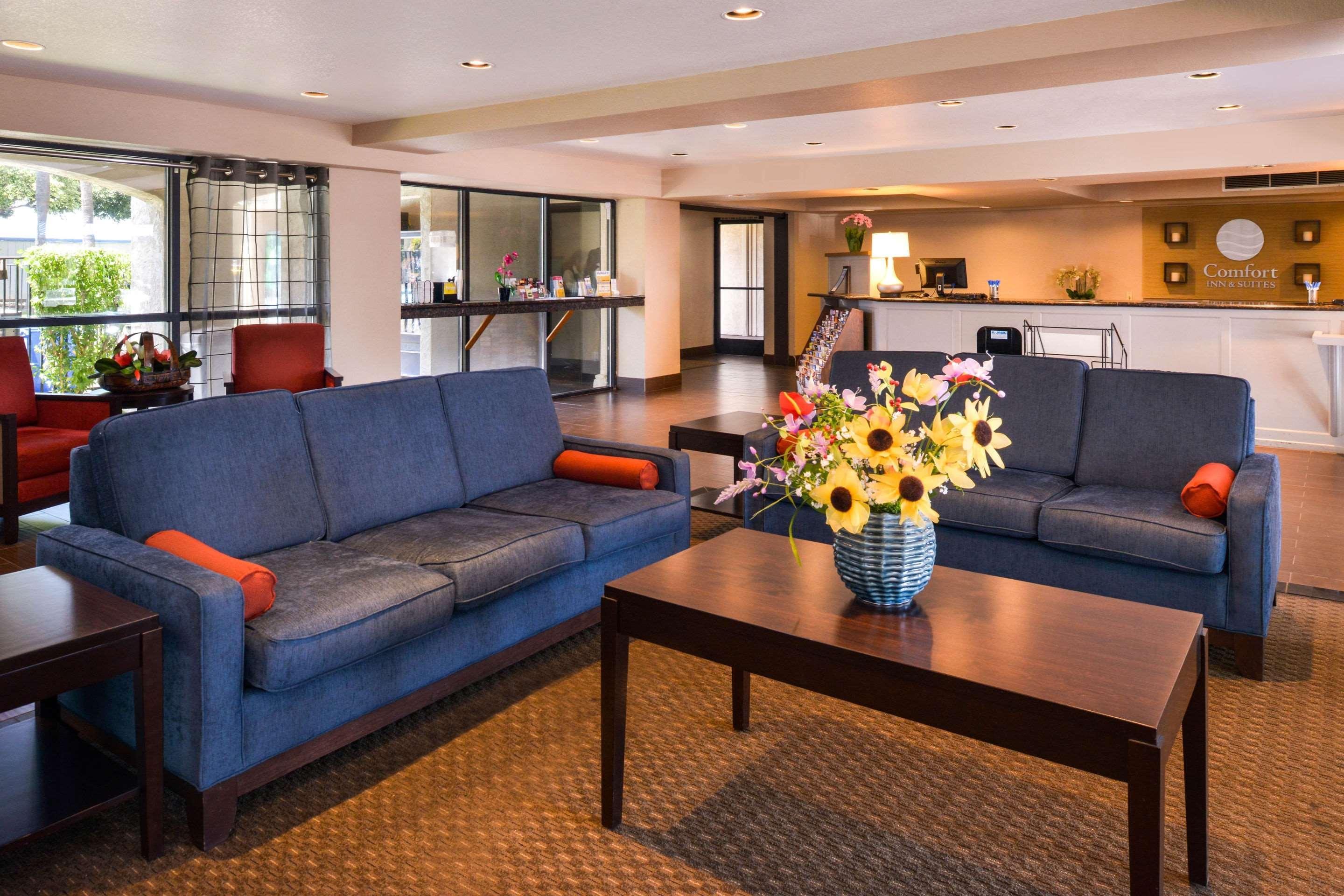Vista Lobby Comfort Inn & Suites Near Folsom Lake