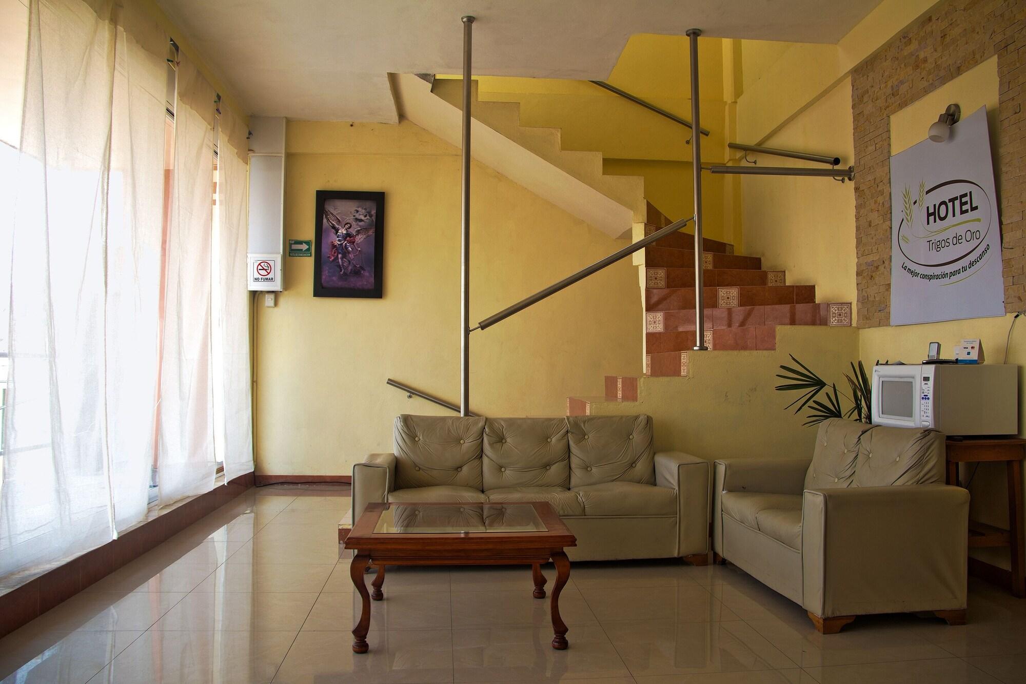 Vista Lobby OYO Hotel Trigos De Oro,San Luis Teolocholco Park
