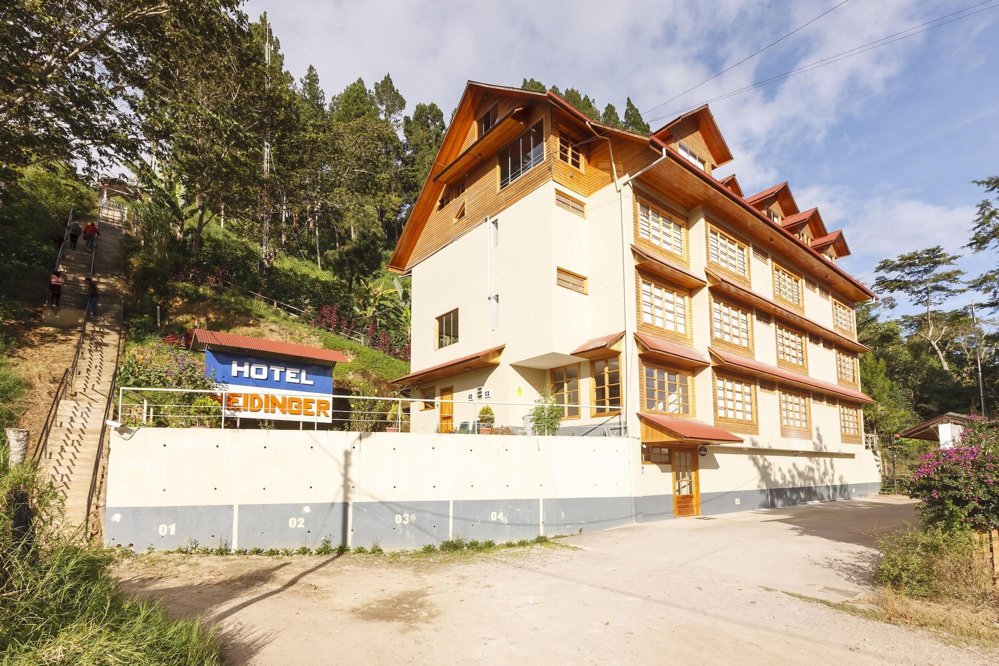 Vista Exterior Hotel Heidinger