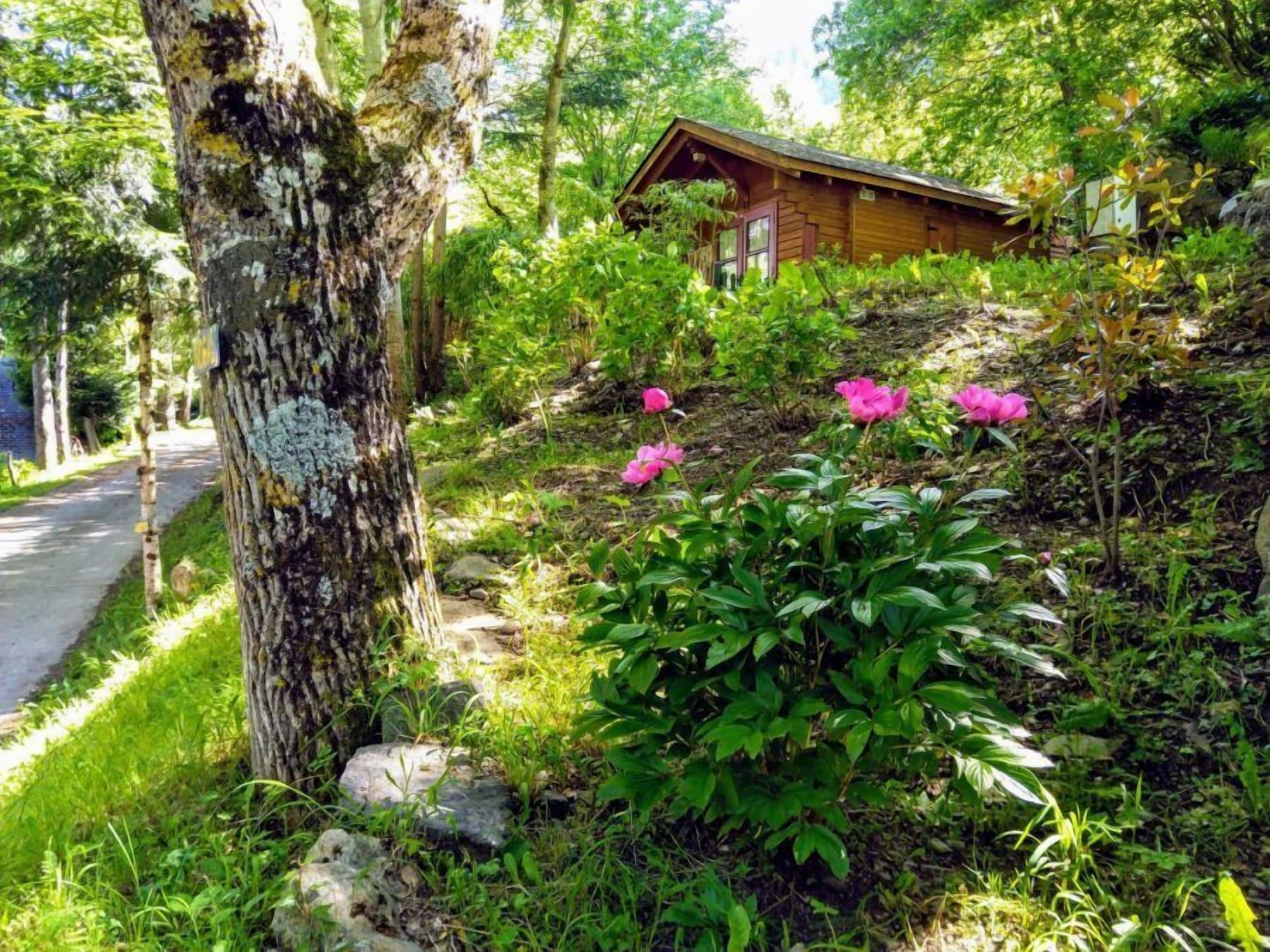 Vista Exterior Camping Bedura