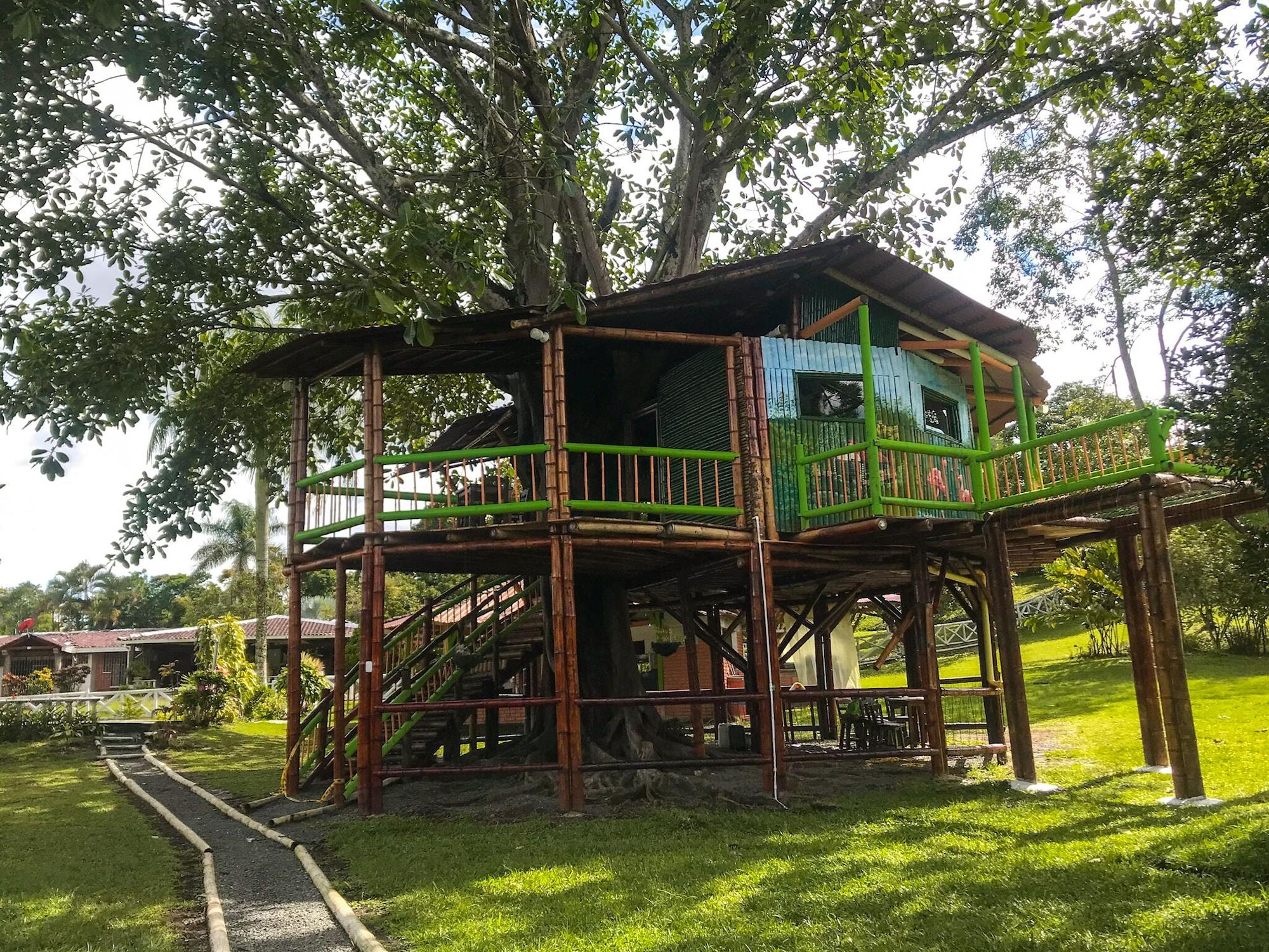 Vista Exterior Room-tree House Finca La Floresta Verde