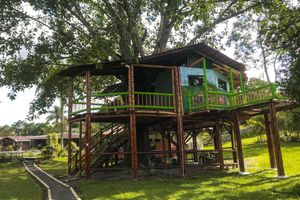 Alojamiento - Room-tree House Finca La Floresta Verde