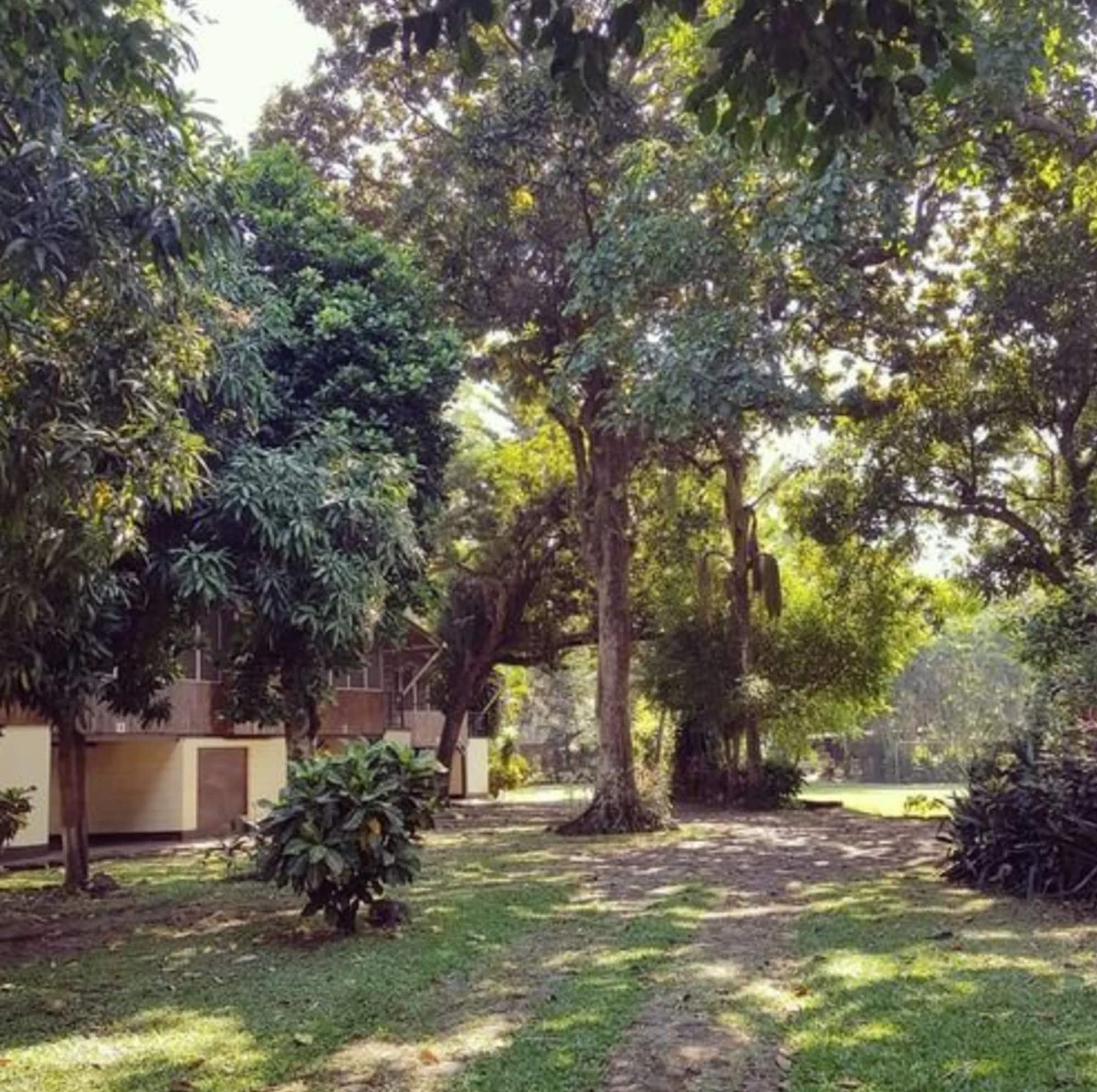 Vista Exterior Hotel La Colonia