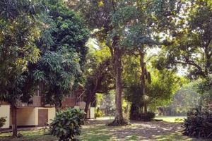 Alojamiento - Hotel La Colonia