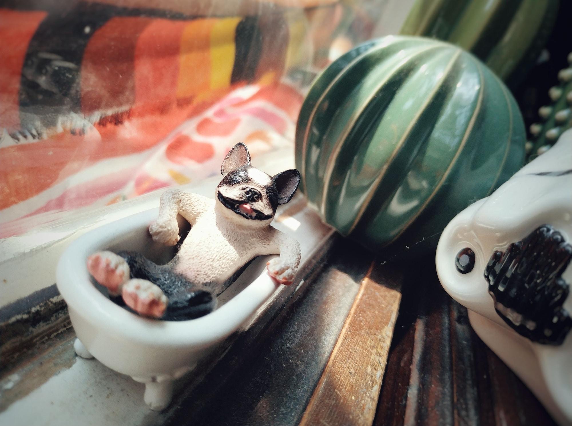 Vista Lobby GOIN Old House & Bar