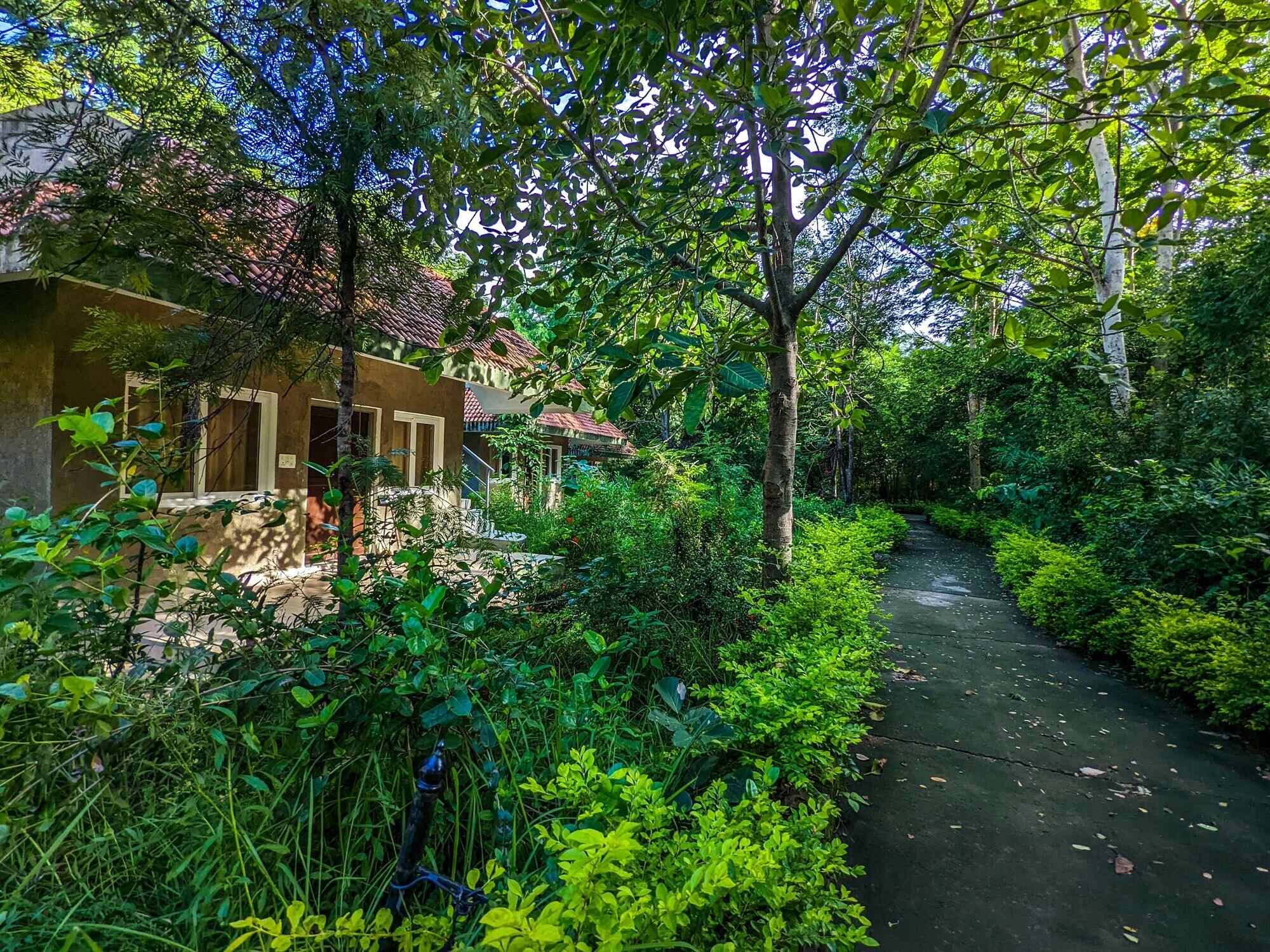 Habitación Syna Tiger Resort - Bandhavgarh