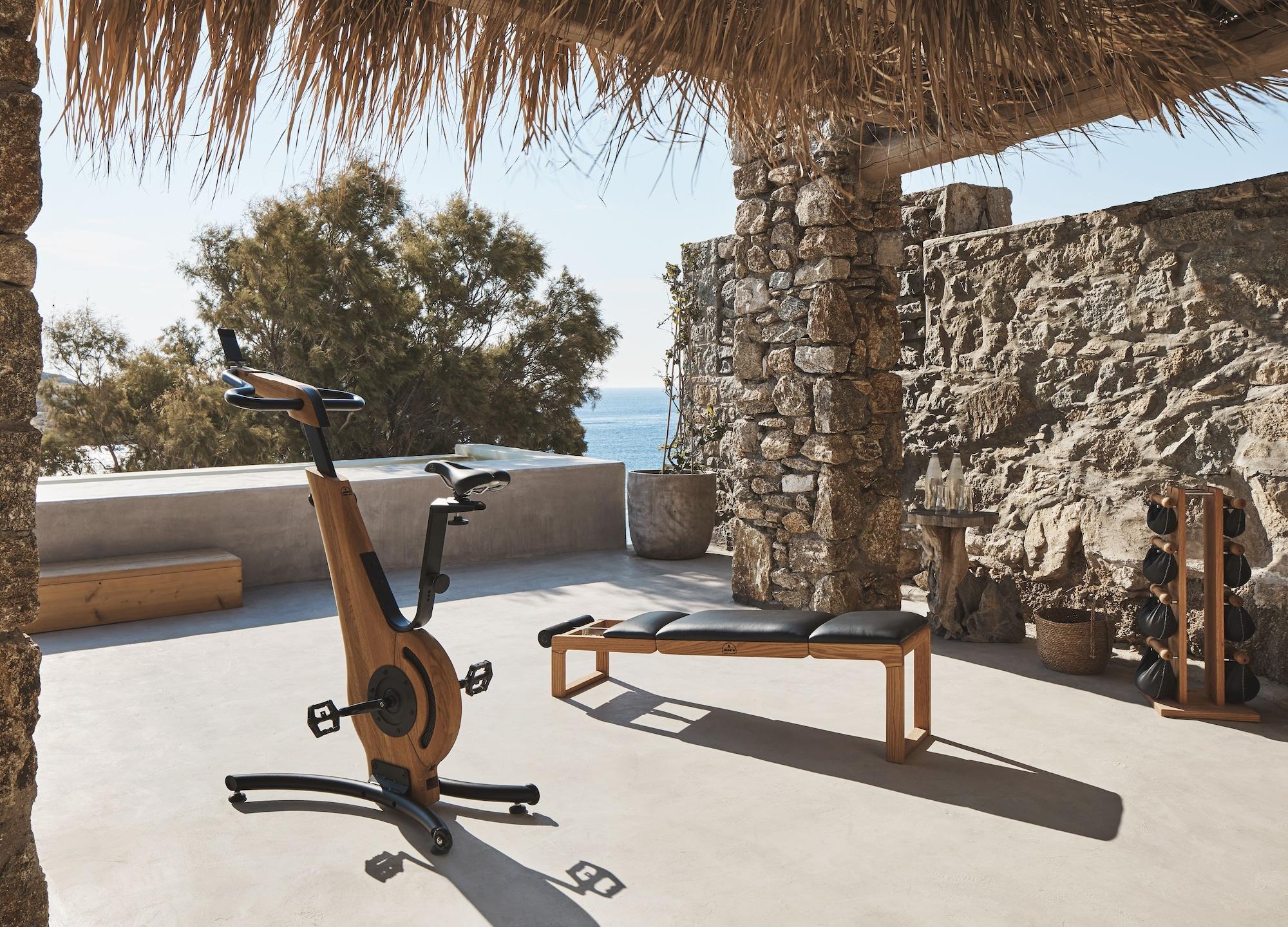 Gimnasio The Wild By Interni