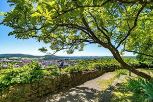 Alojamiento - Hotel Burg Staufenberg