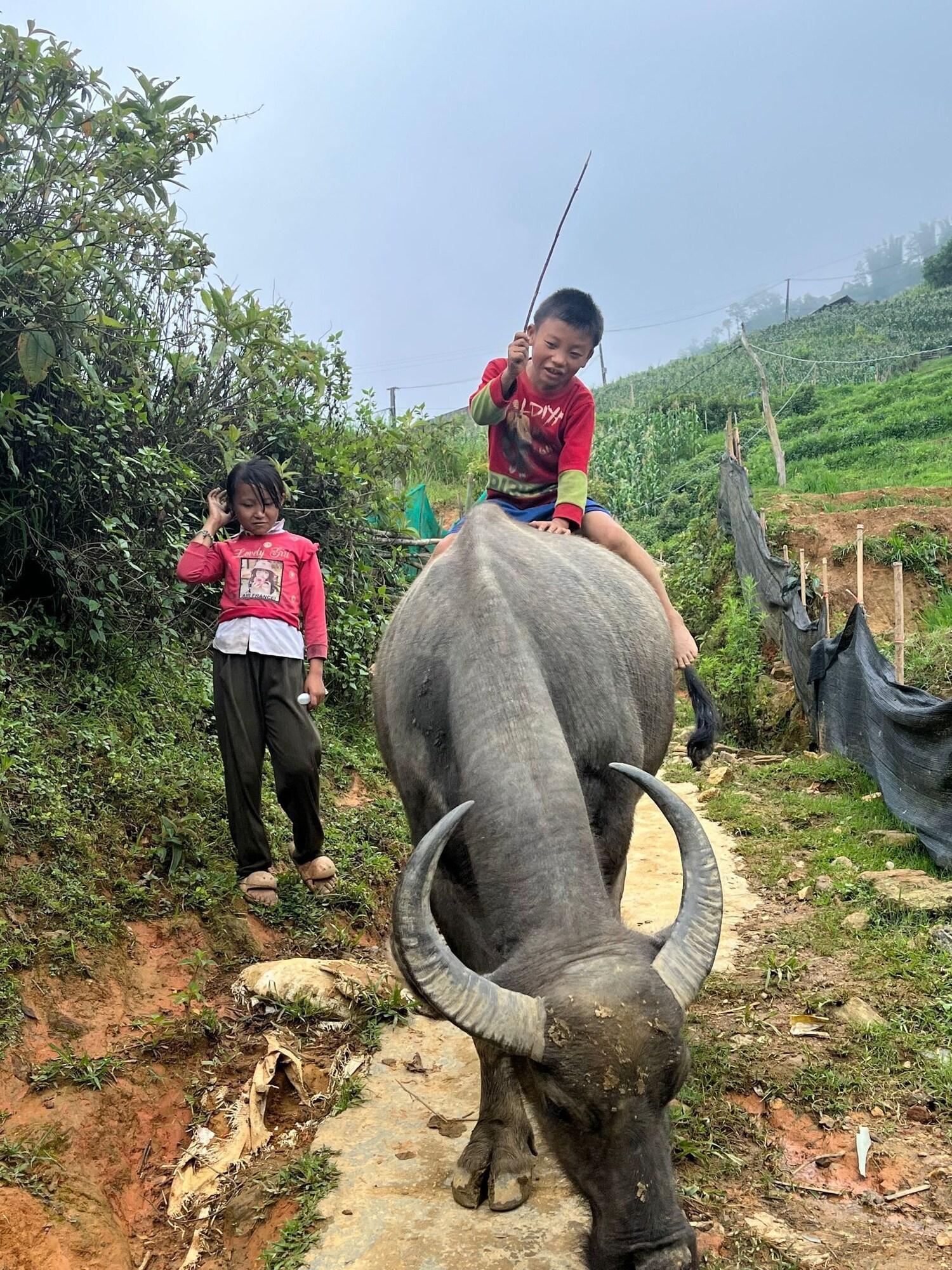 Vista Exterior Buffalo Eco House