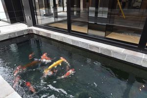 Alojamiento - Hotel Glad One Kyoto Shichijo by M’s