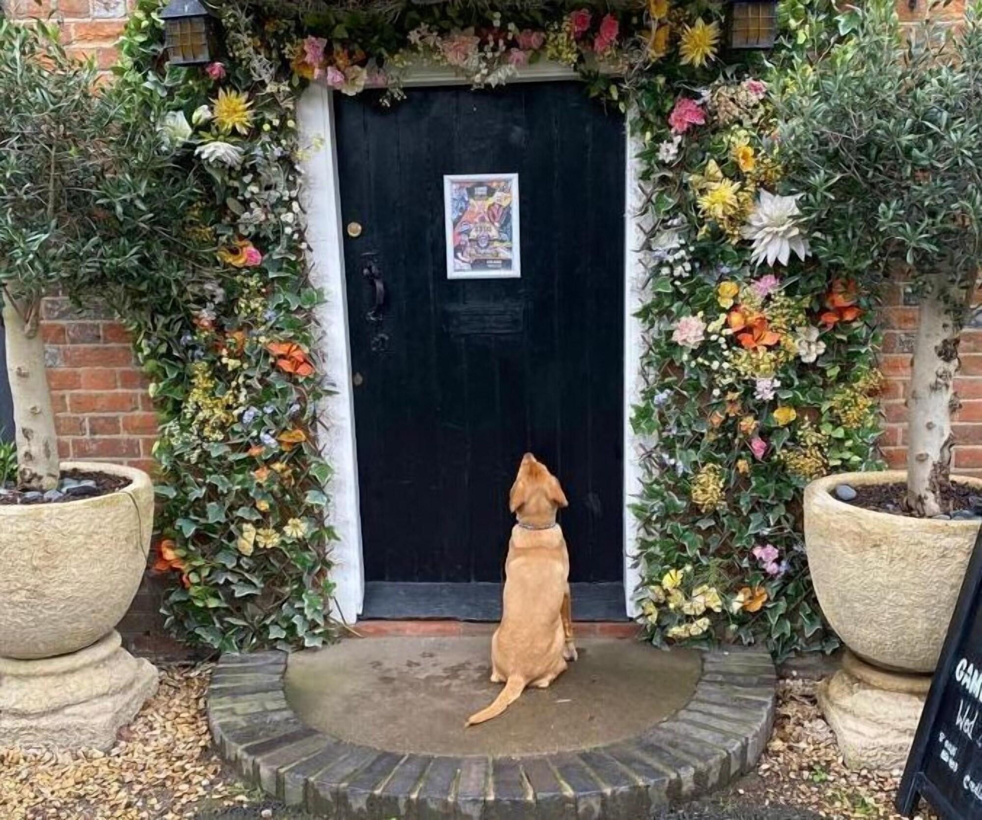 Varios The Red Lion Blewbury