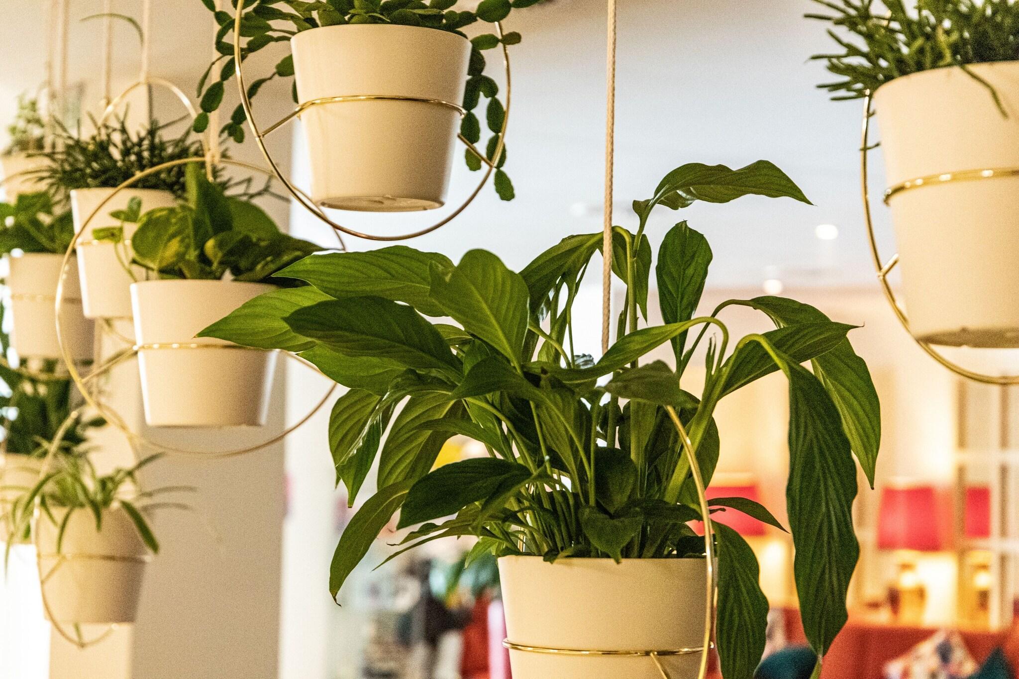 Vista Lobby Hotel Saalbacher Hof