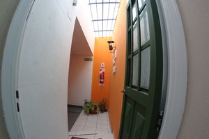 Alojamiento - Petit Hotel Caseros