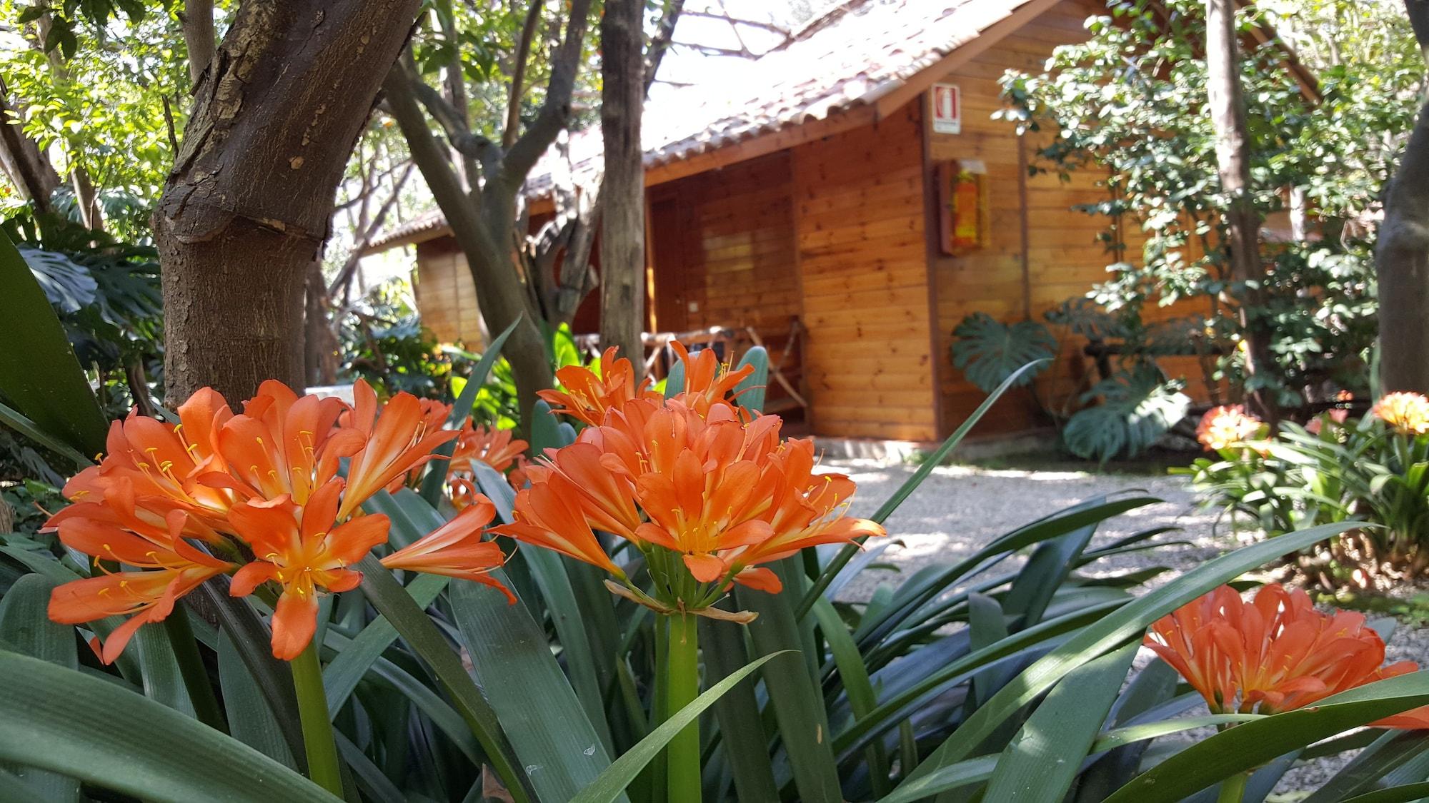 Vista Exterior Villaggio Verde