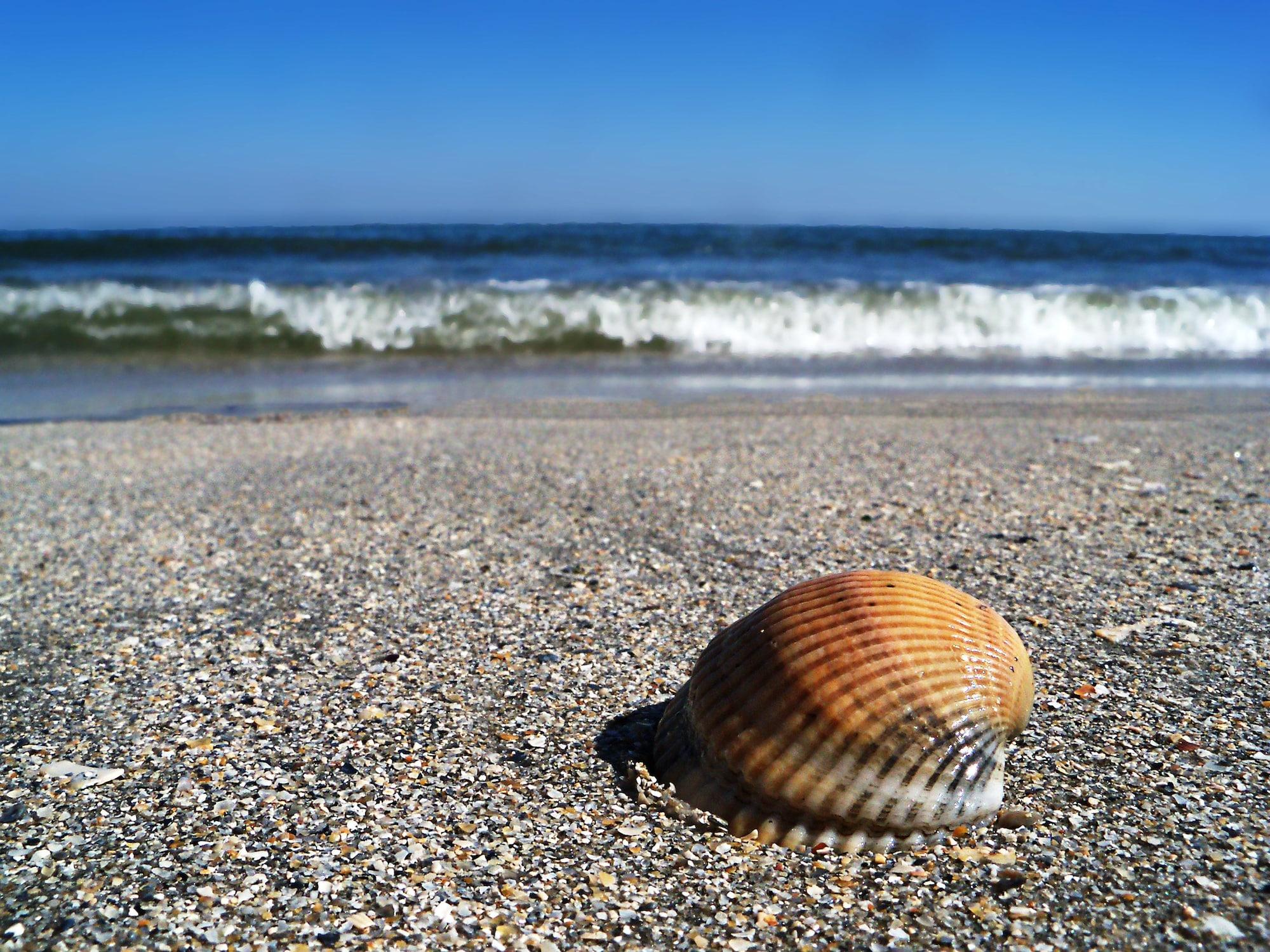 Vista Exterior Iaki Hotel