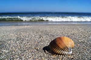 Alojamiento - Iaki Hotel