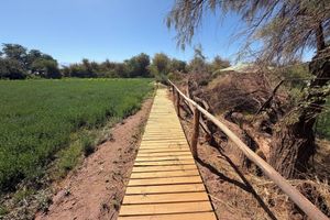 Alojamiento - Peumayen Atacama / Hostal & Cabaña