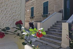 Alojamiento - Deluxe Rooms Tramonto