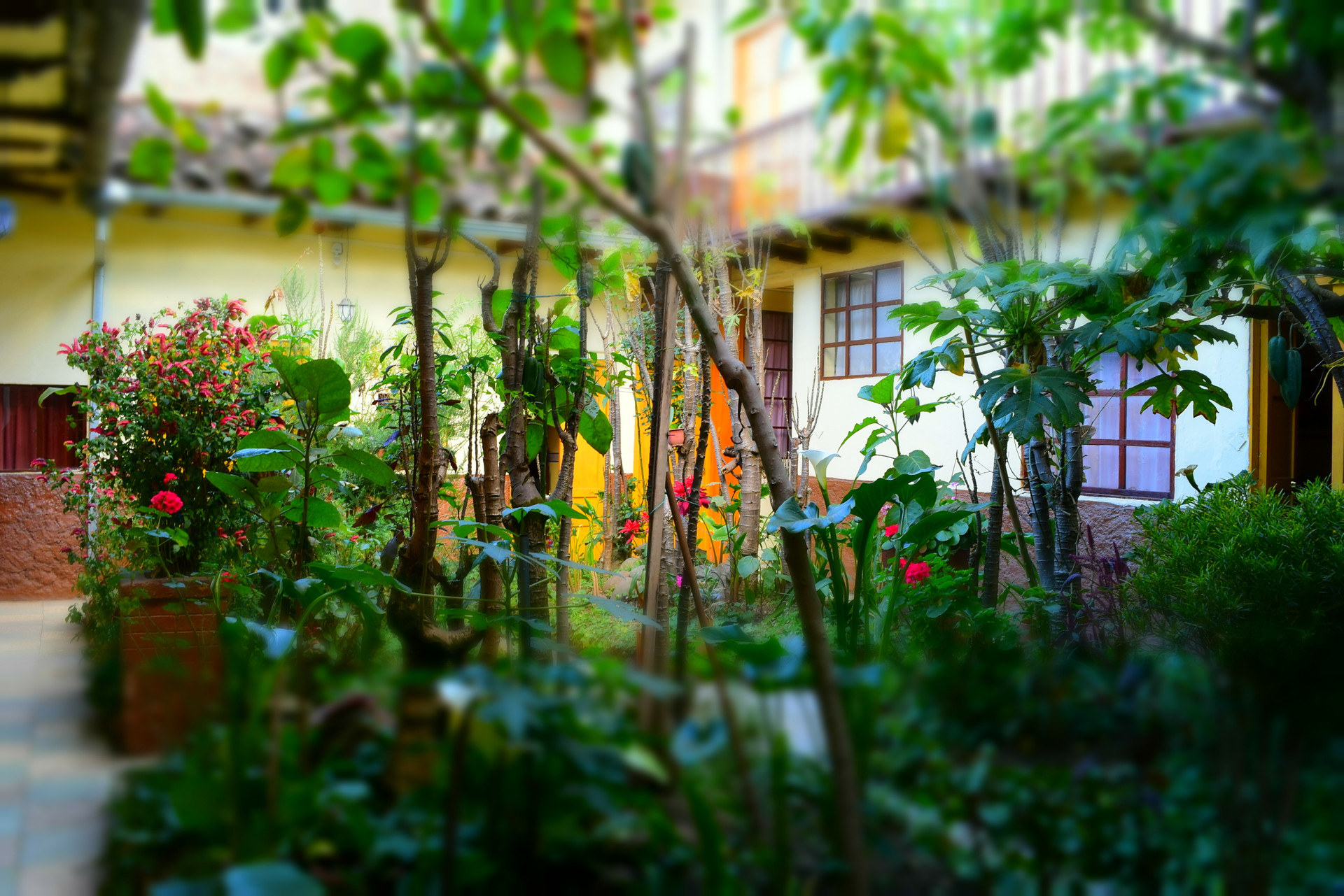 Varios HOSTAL VILLA DEL ROSARIO