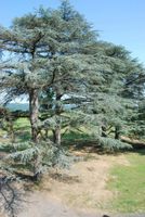 Alojamiento - Château de Maumusson