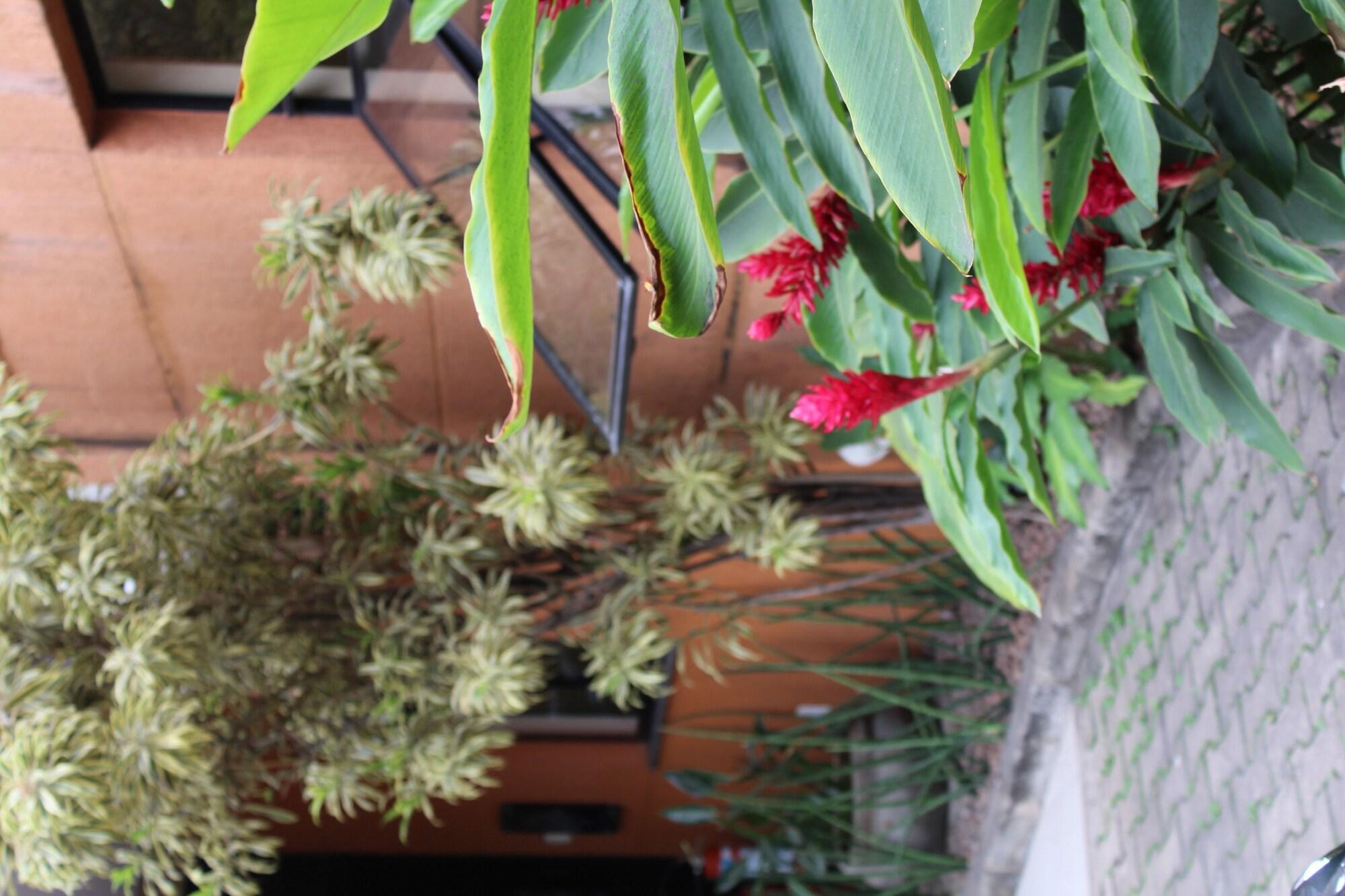 Vista Exterior Hotel Dom Henrique