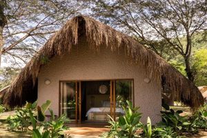 Alojamiento - Holistic EcoHotel