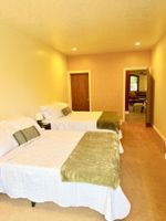 Alojamiento - Cozy 2BR/2BA  sleeps 8 Haven near Botanical World Adventures