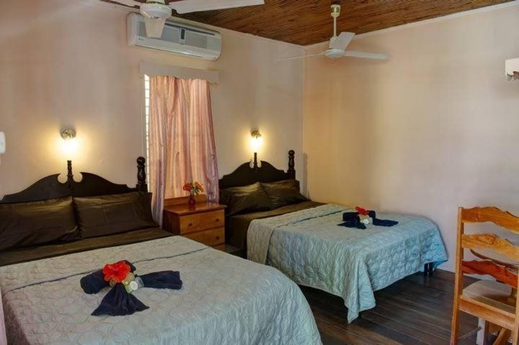 Habitación Tropical Paradise Hotel