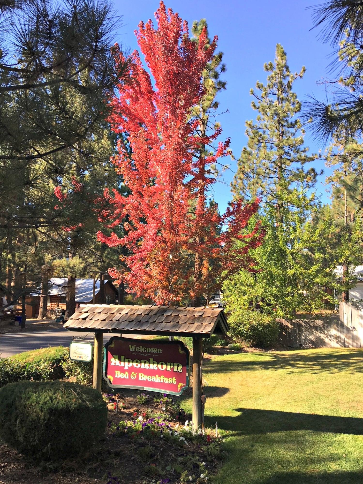 Vista Exterior Alpenhorn Bed And Breakfast Inn