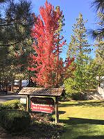 Alojamiento - Alpenhorn Bed And Breakfast Inn