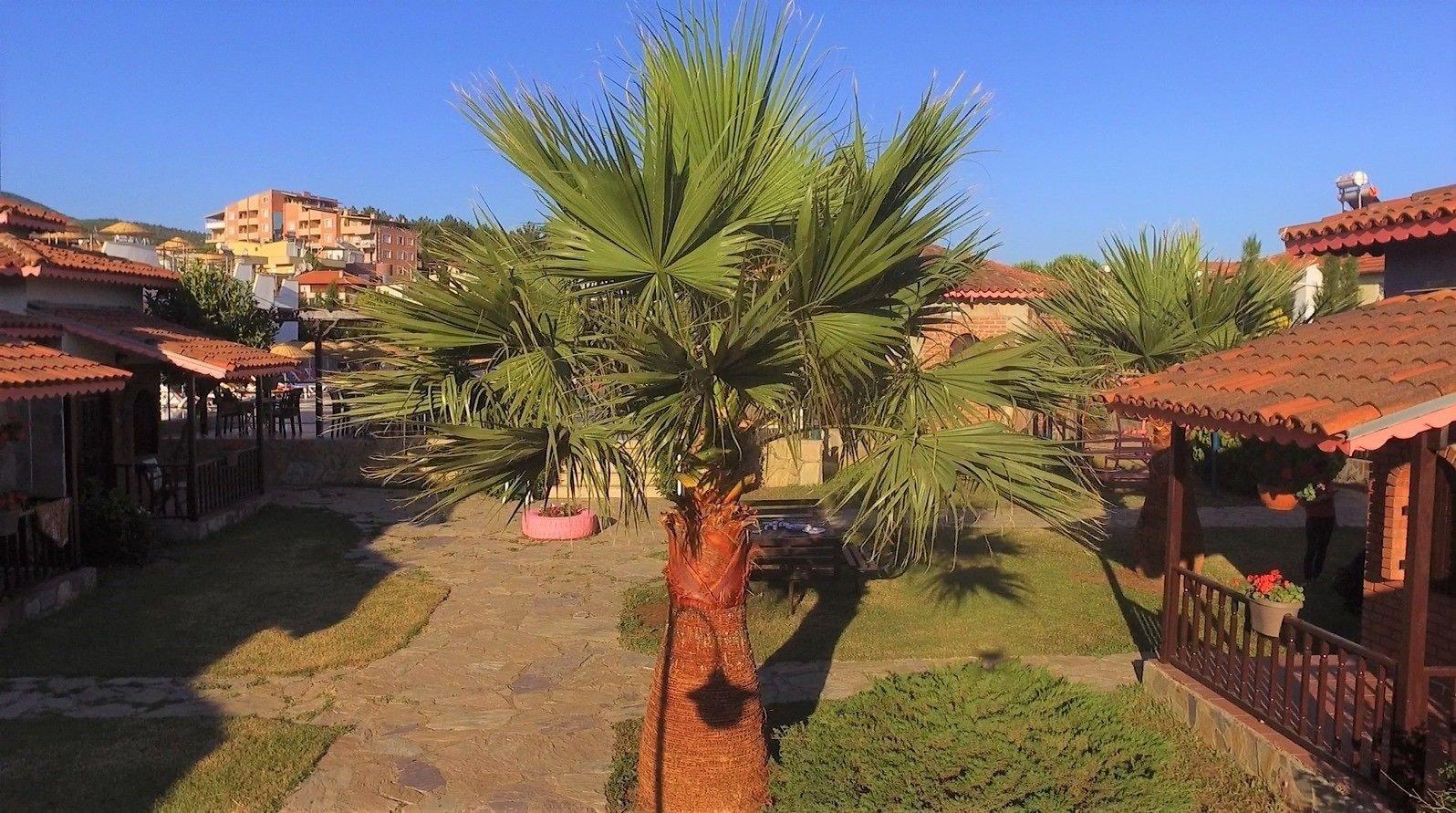 Restaurant Royal Nas Resort