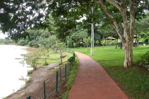 Passagem - Voos para São José do Rio Preto