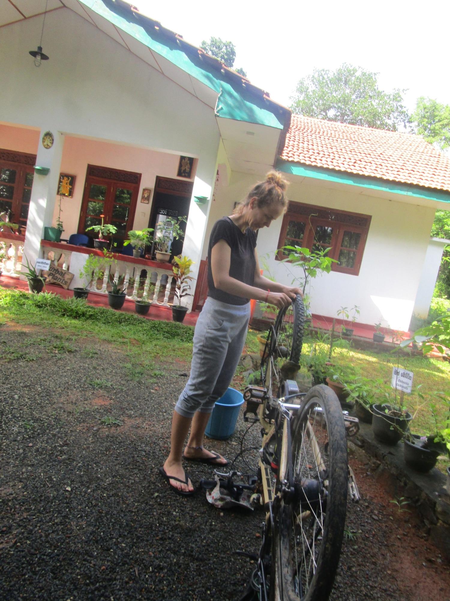 Vista Lobby Green herbal Ayurvedic Eco-Lodge
