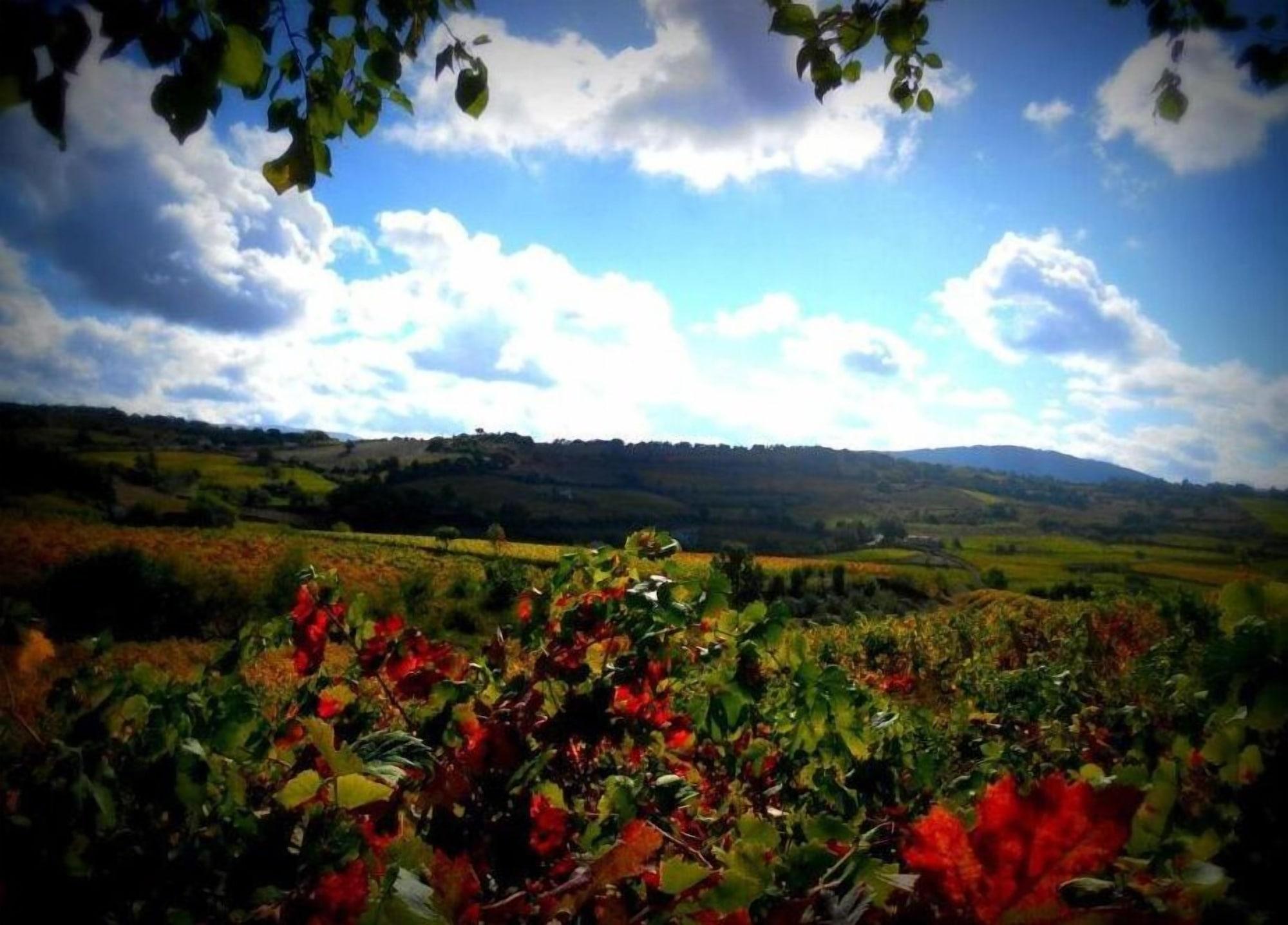 Comodidades del Alojamiento Pietro & Graziella