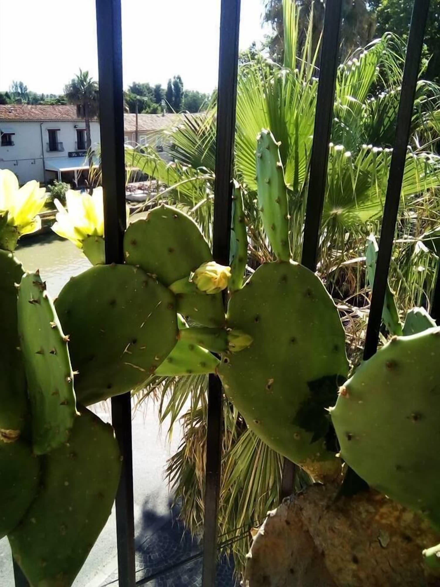 Vista Exterior Maison du Canal