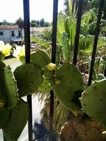 Alojamiento - Maison du Canal