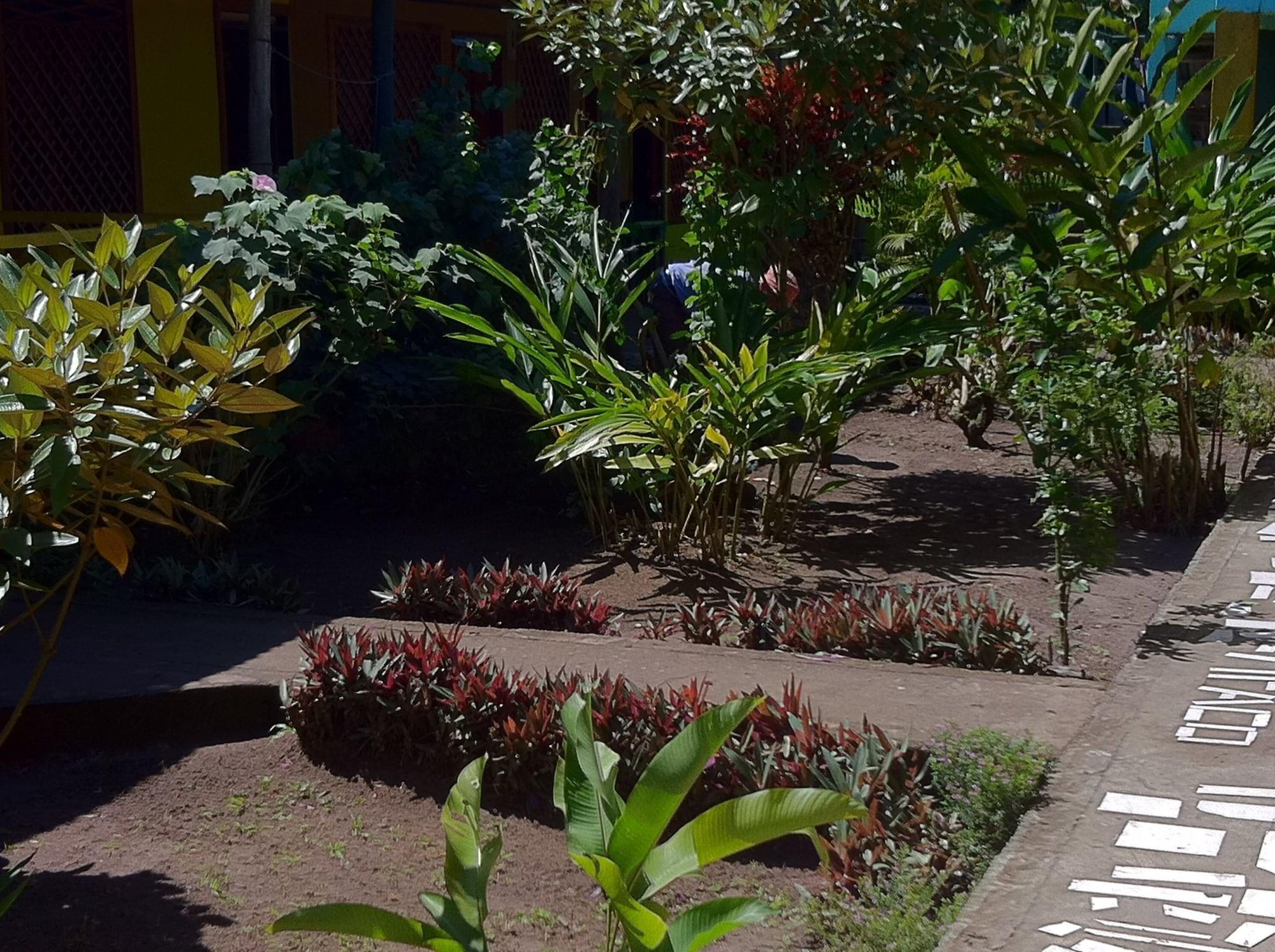 Vista Exterior Hotel El Icaco Tortuguero