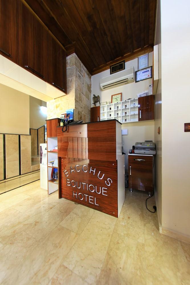 Vista Lobby Bacchus Pension