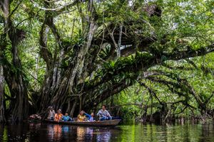 Activity - Lamas, Laguna Azul, Ahuashiyacu and Alto Mayo