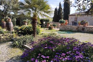 Alojamiento - Rocca degli Olivi