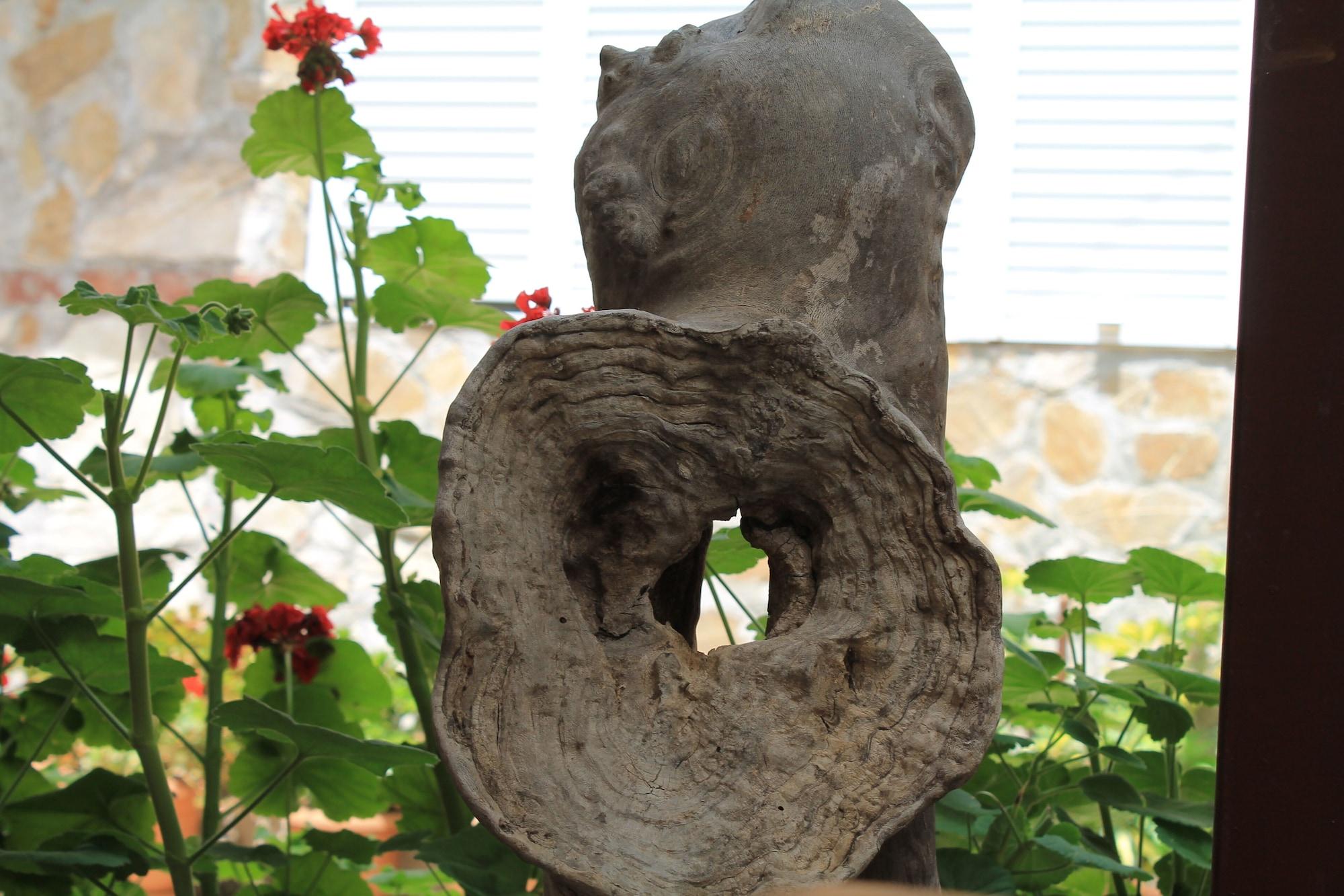 Vista Exterior Olympos Simar Pansiyon