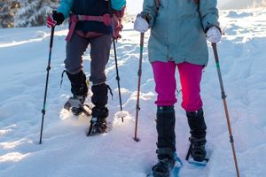 Actividad - Paseo con raquetas de nieve por Banff