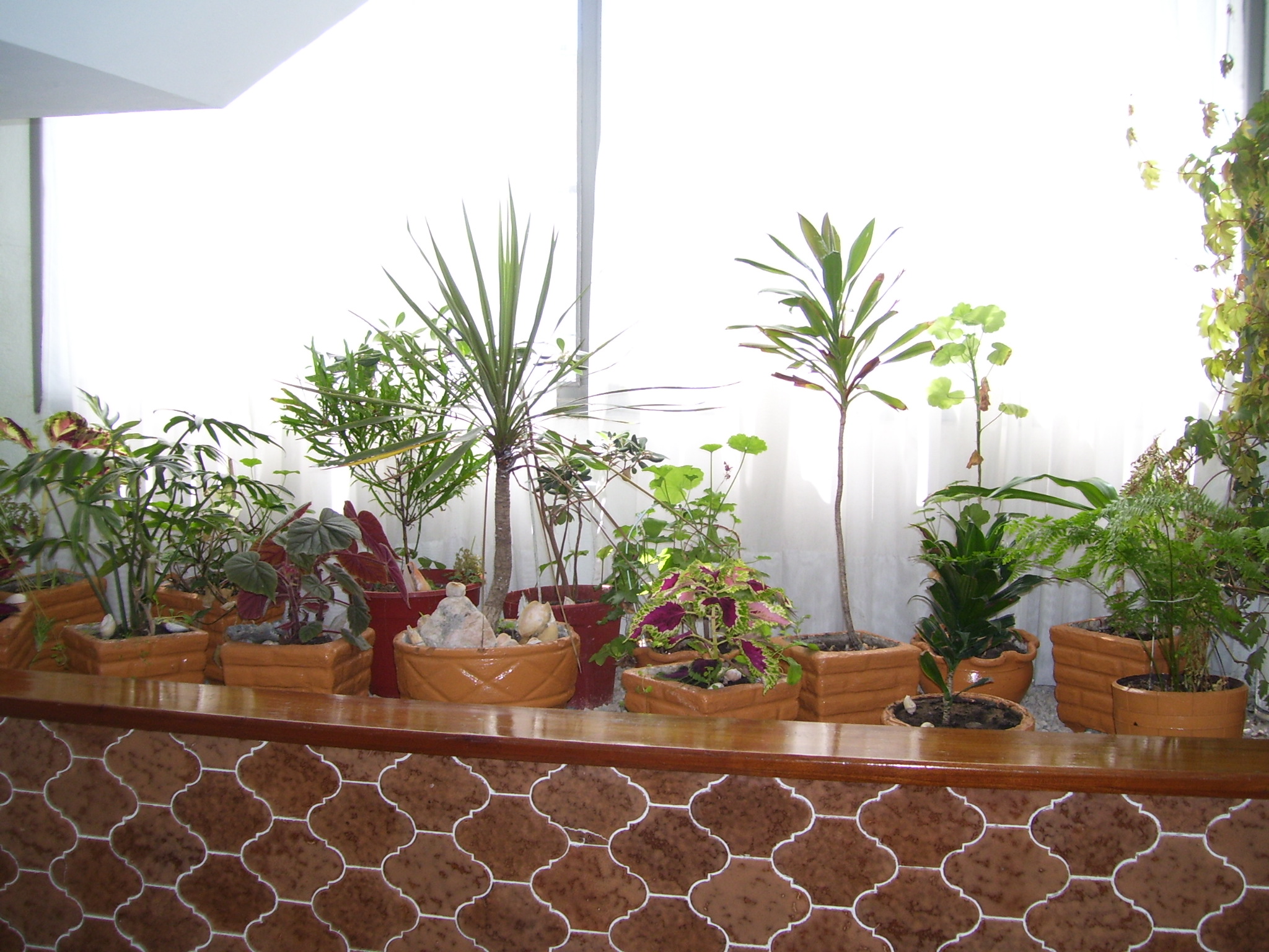 Hotel Hotel San Francisco