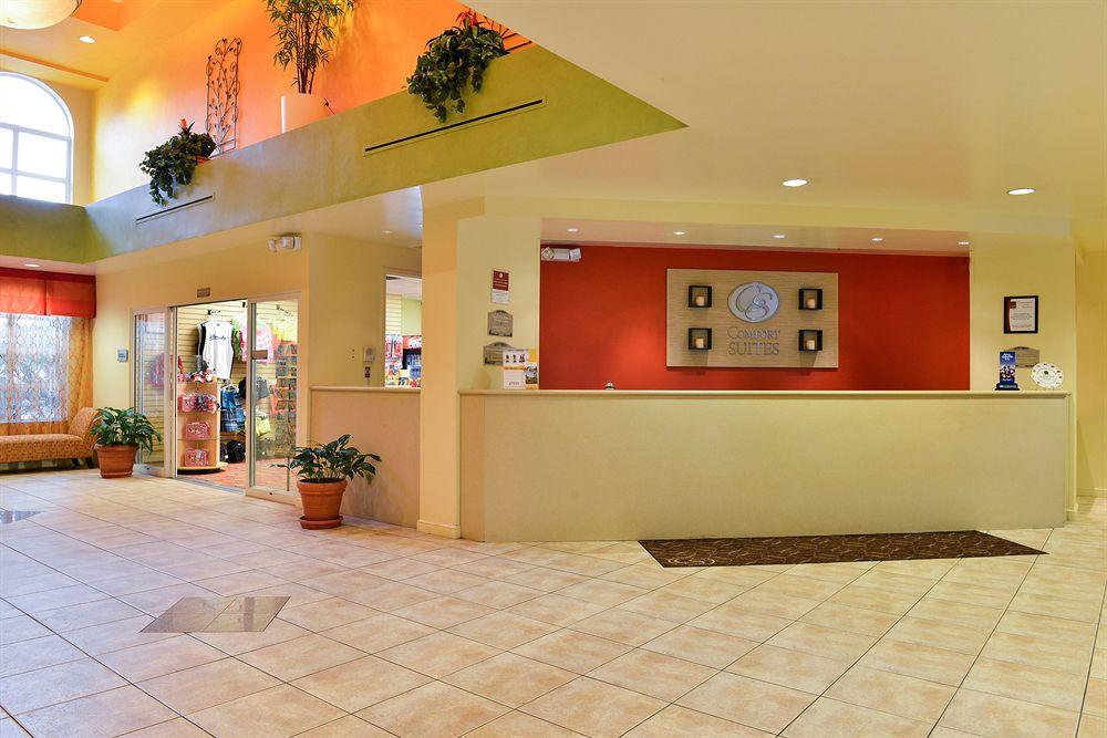 Hotel Comfort Suites Maingate East