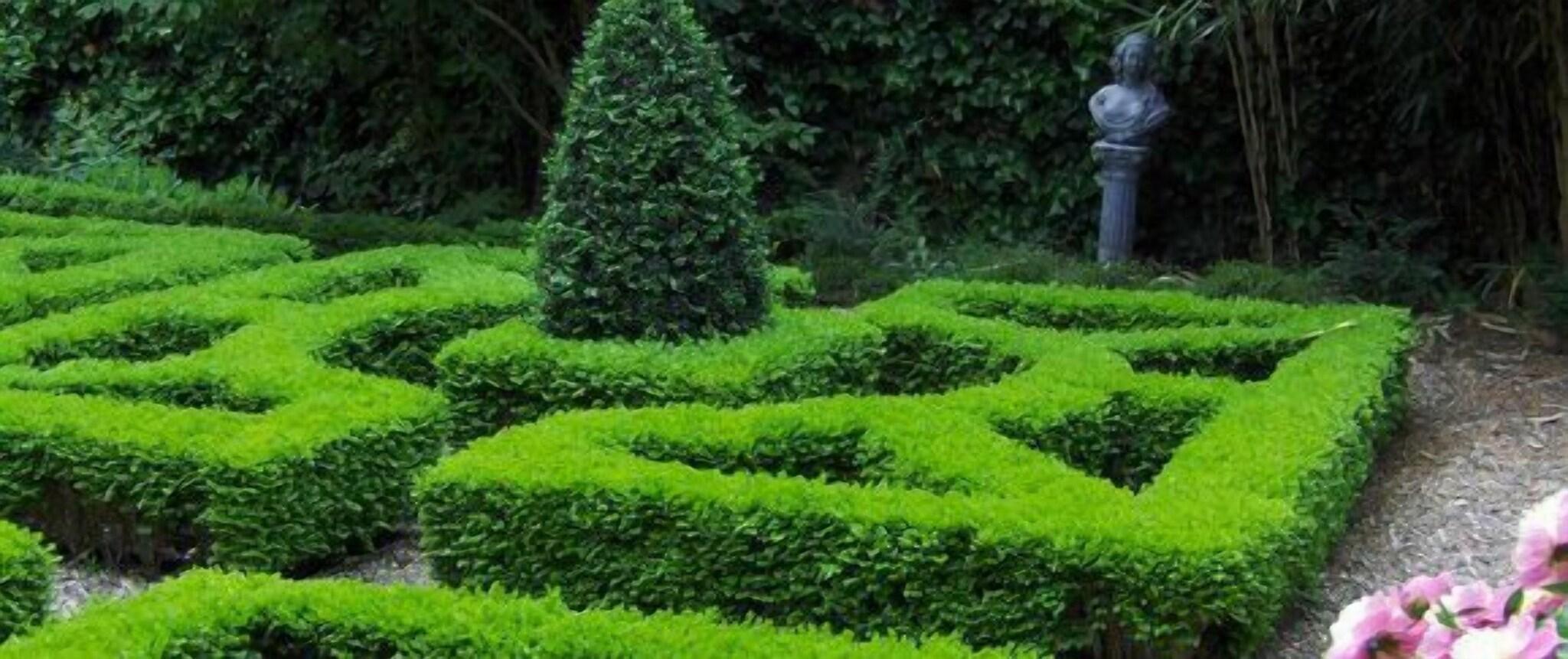 Varios Erasmus Hotel