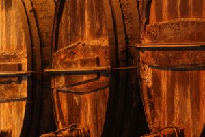 Actividad - Visita a las bodegas Tío Pepe